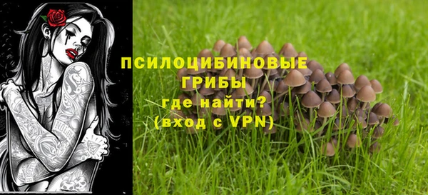 прущая мука Магас
