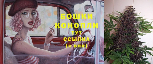 ПСИЛОЦИБИНОВЫЕ ГРИБЫ Лиски